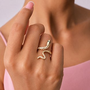 Home snake insta44